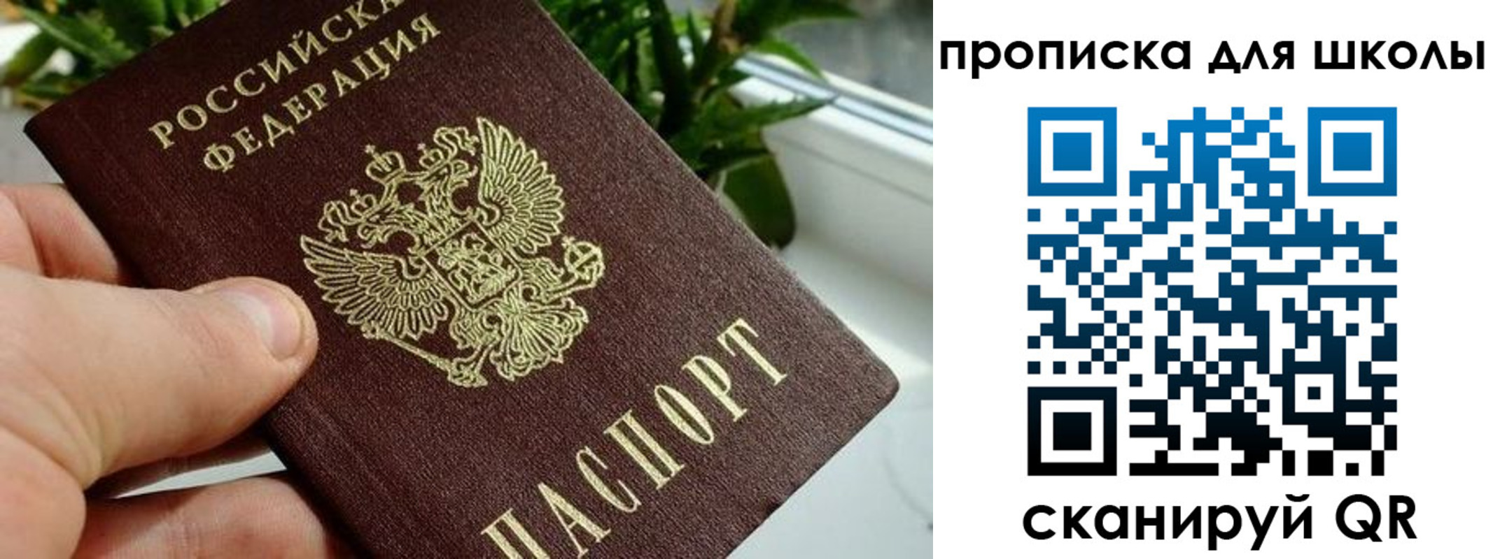 регистрация для дет. сада в Зарайске